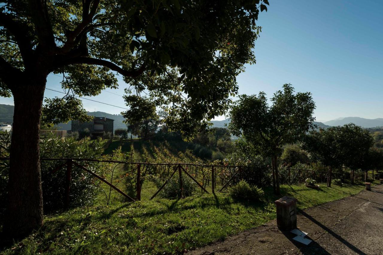 Tenuta D'Amore San Mango Piemonte Exterior photo